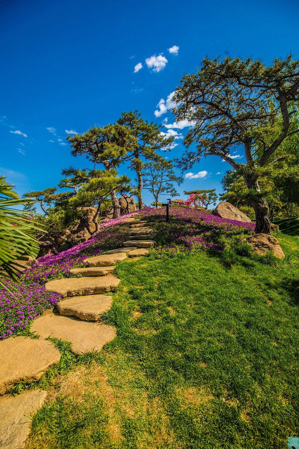 Landscape Reconstruction Design of the Summer Garden on Yanqi Lake Yuanshu