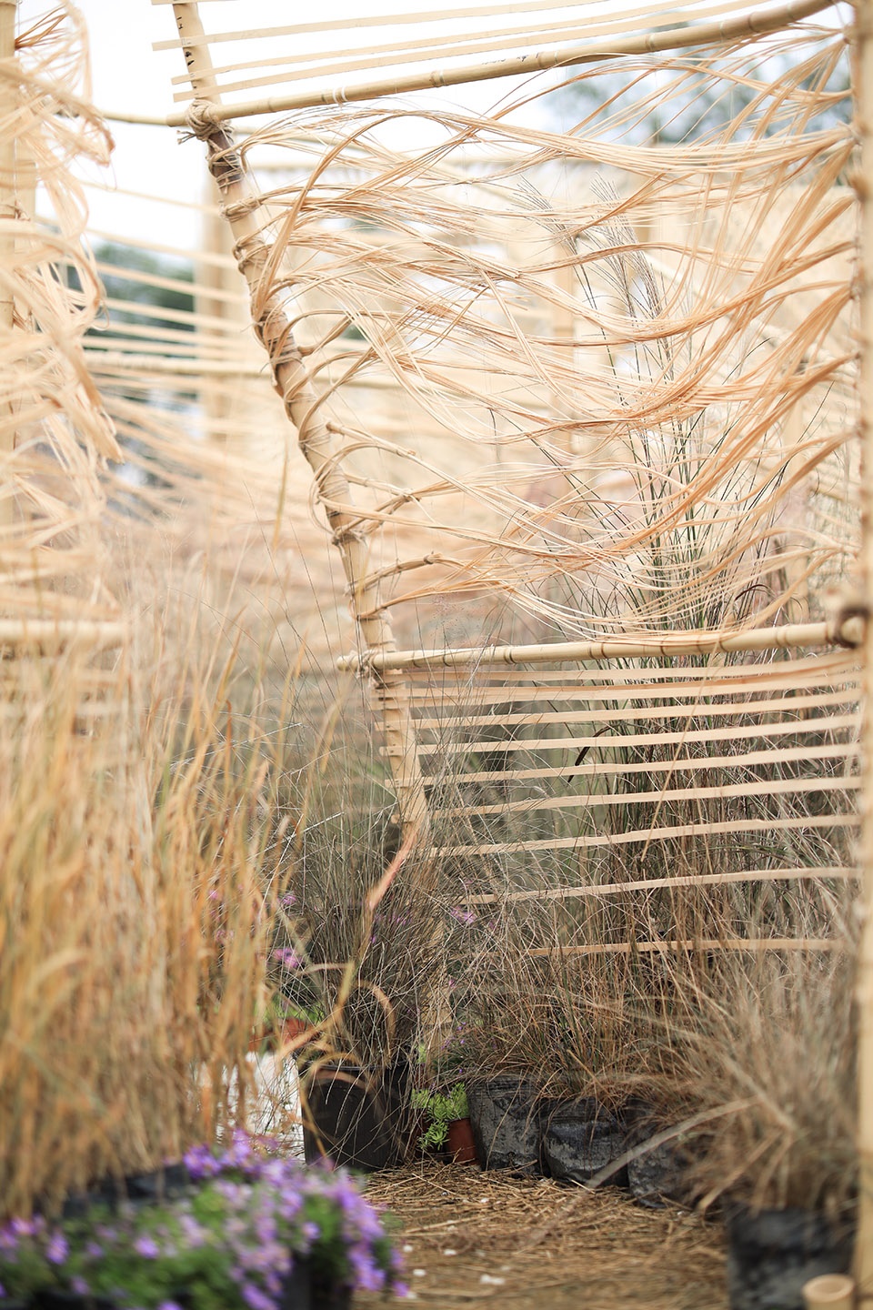 Beilin International Garden Construction Festival 2020