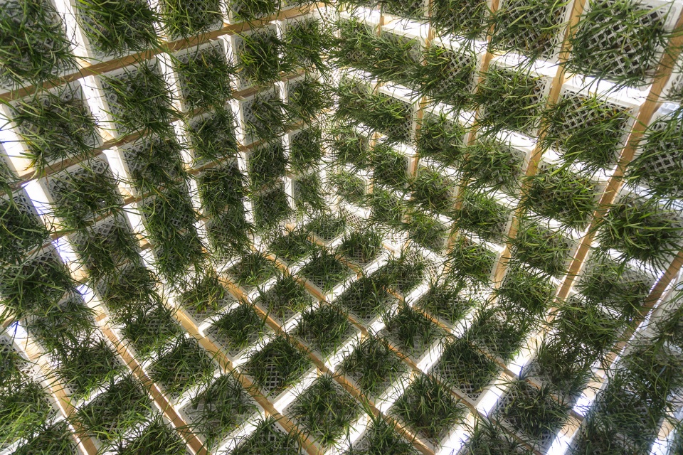 living pavilion new york by behin ha