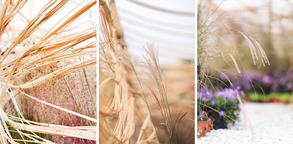 Beilin International Garden Construction Festival 2020