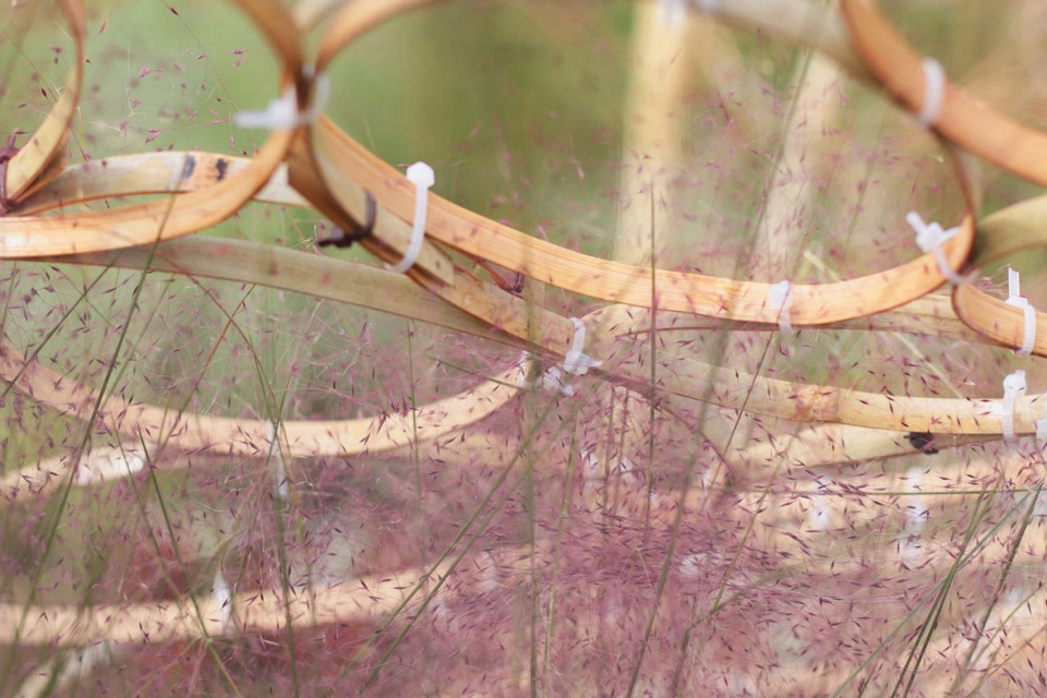Beilin International Garden Construction Festival 2020