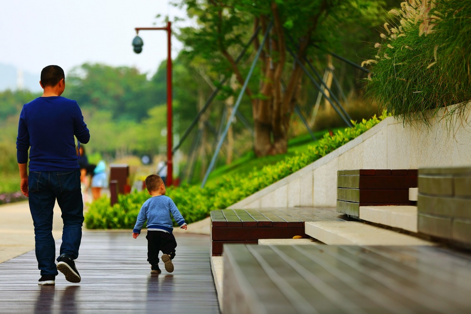 Dasha River Ecological Corridor Shenzhen by AECOM