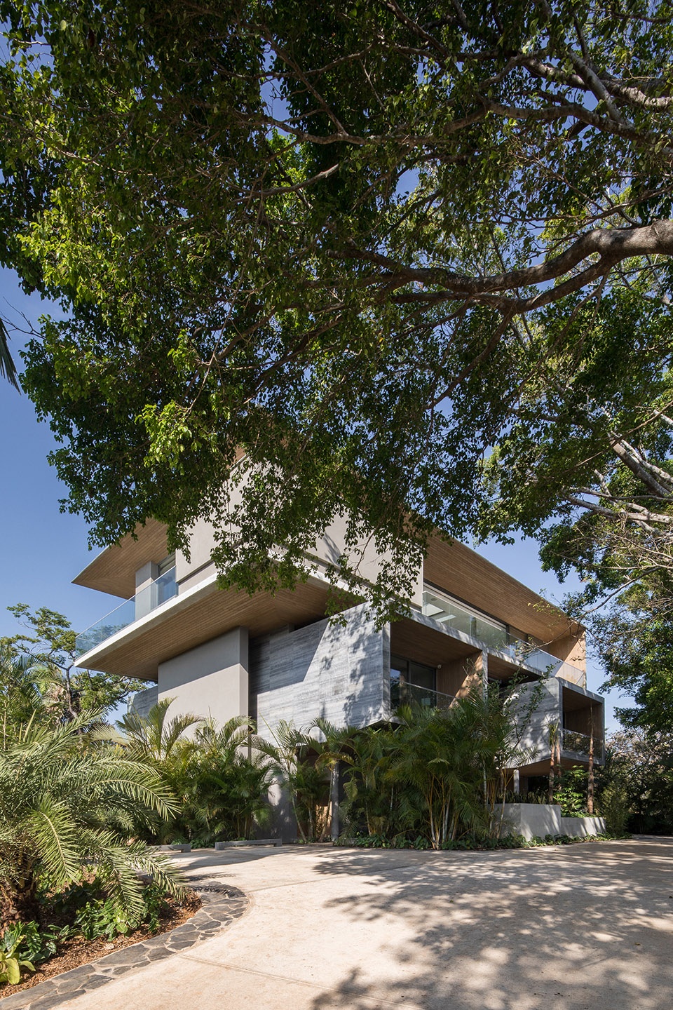 The Atrium House by Studio Saxe