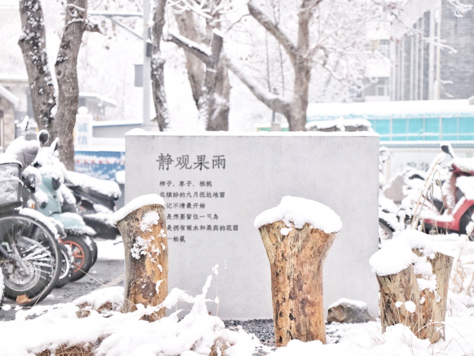 harvesting raingarden oasis in a high density campus china by hao zhang and kangfu zhuo