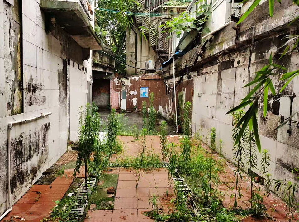pocket park on xinhua road by shuishi