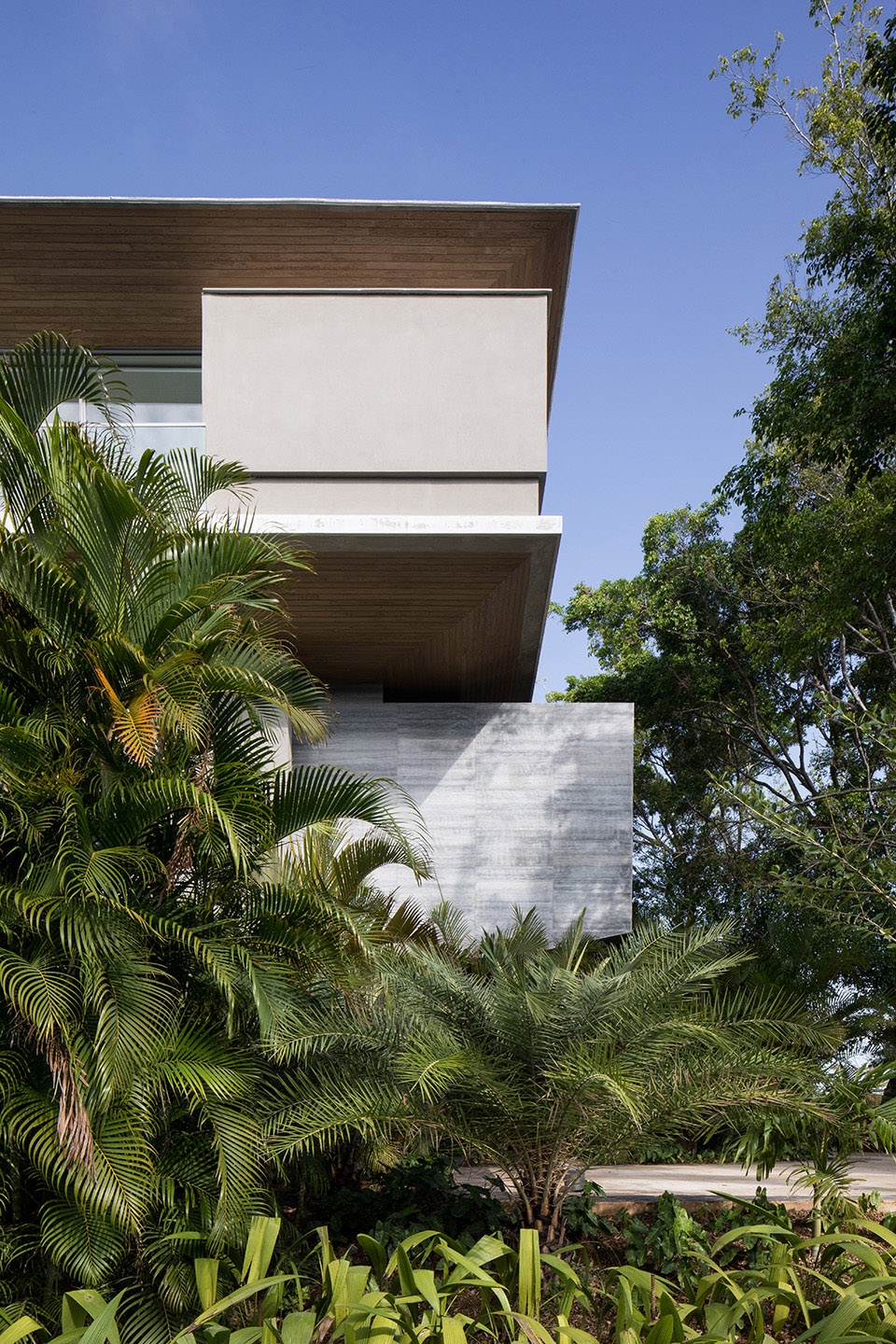 The Atrium House by Studio Saxe