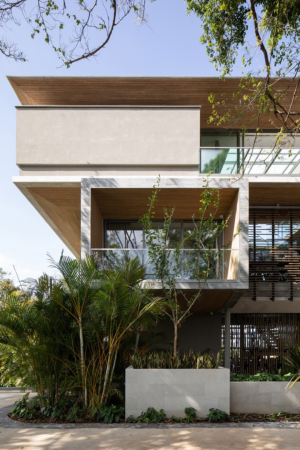 The Atrium House by Studio Saxe