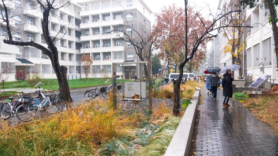 harvesting raingarden oasis in a high density campus china by hao zhang and kangfu zhuo