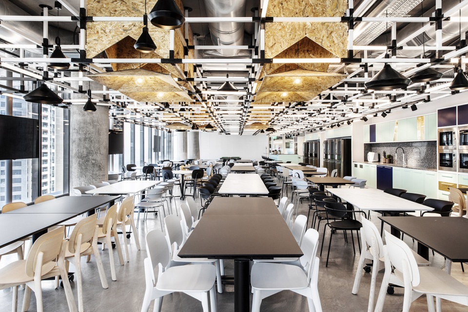 NATURAL INTELLIGENCE Offices by Roy David Architecture