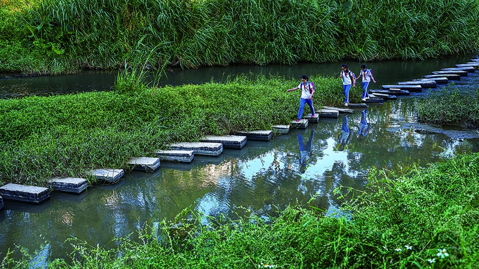 Dasha River Ecological Corridor Shenzhen by AECOM