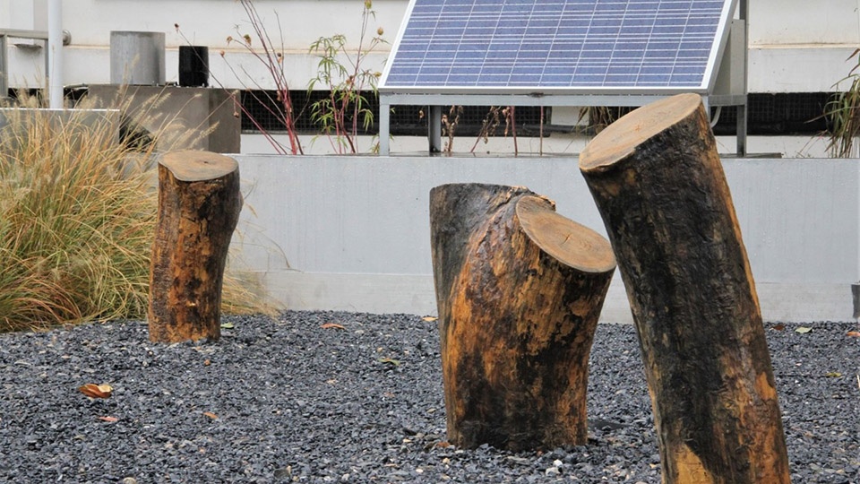 harvesting raingarden oasis in a high density campus china by hao zhang and kangfu zhuo