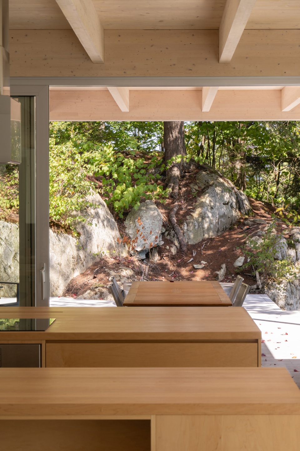 forest house i by natalie dionne architecture