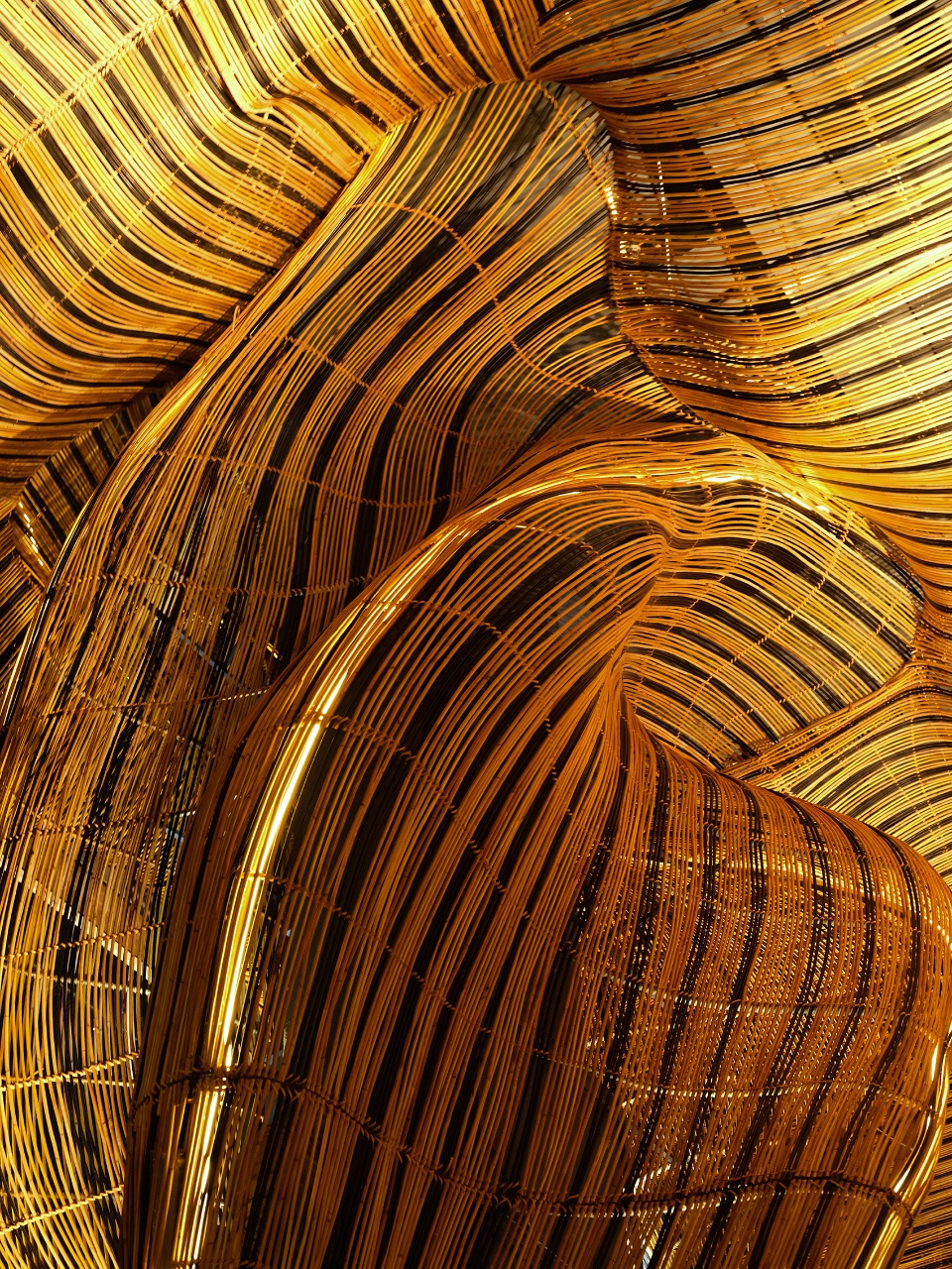 spice barley by enter projects asia