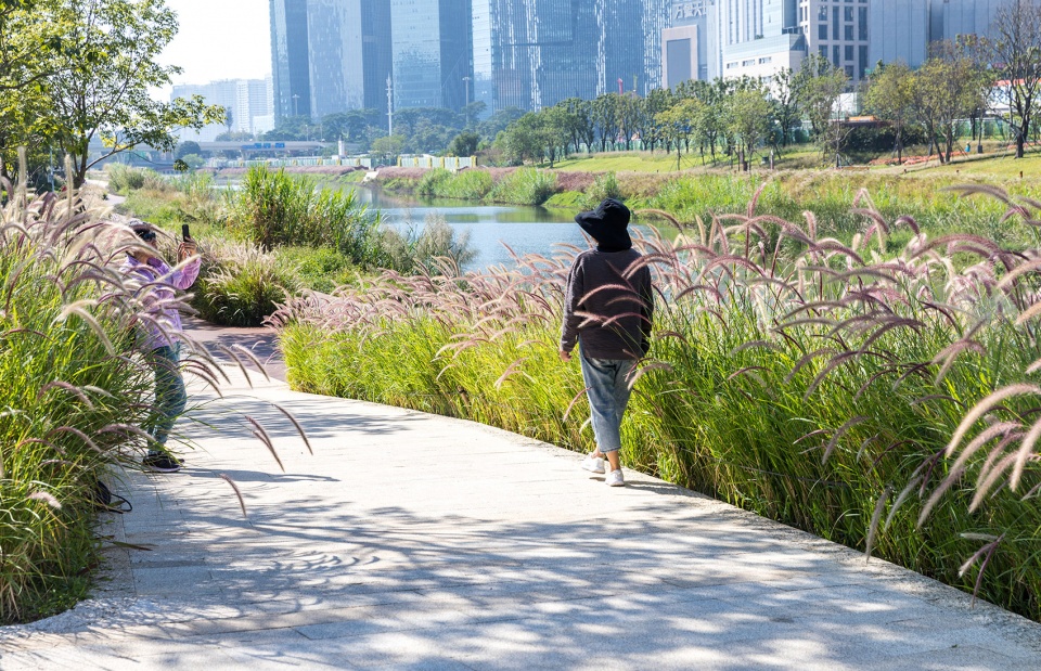 Dasha River Ecological Corridor Shenzhen by AECOM