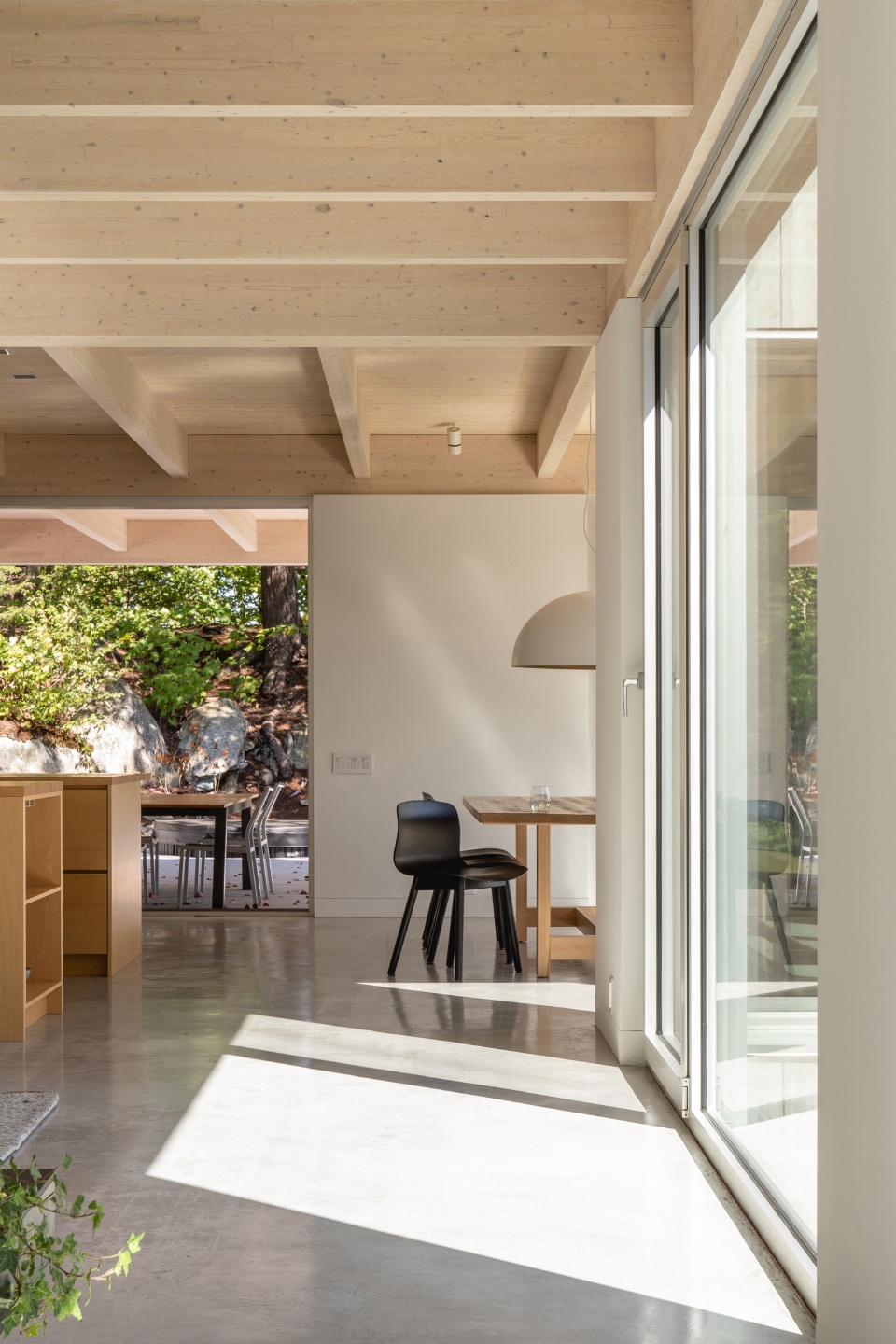 forest house i by natalie dionne architecture