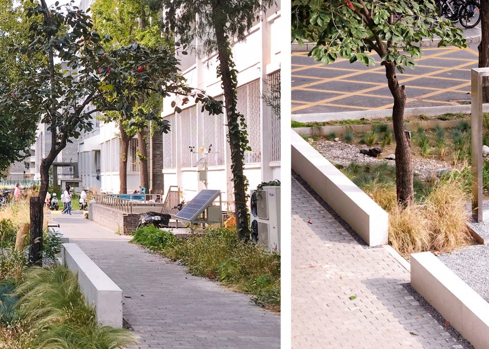 harvesting raingarden oasis in a high density campus china by hao zhang and kangfu zhuo