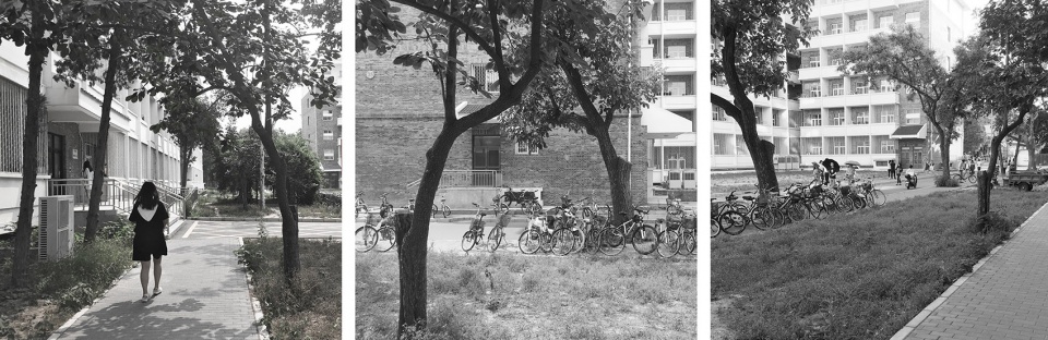 harvesting raingarden oasis in a high density campus china by hao zhang and kangfu zhuo