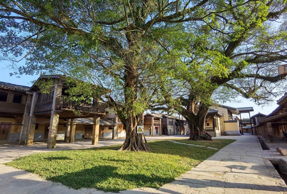 traditional village of zhouqian china by shenzhen techand ecology environment