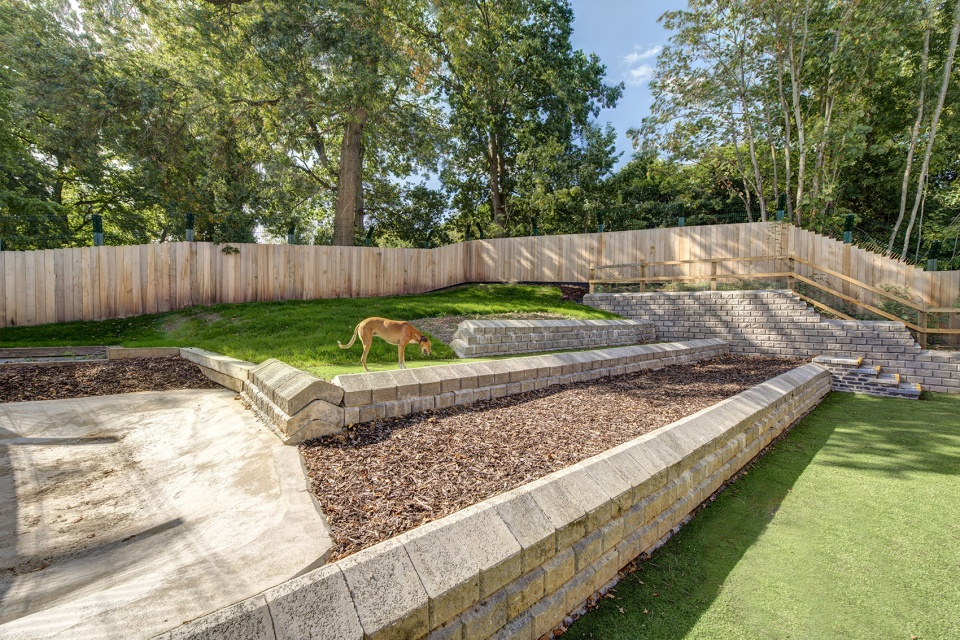 Battersea Dogs Cats Home by Jonathan Clark Architects
