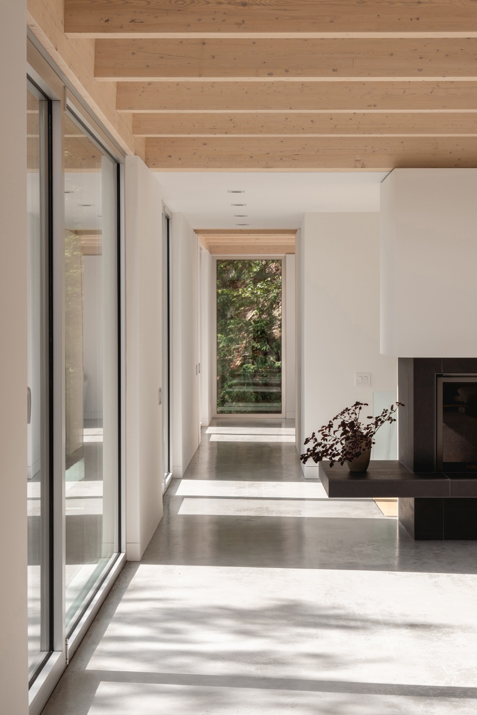 forest house i by natalie dionne architecture
