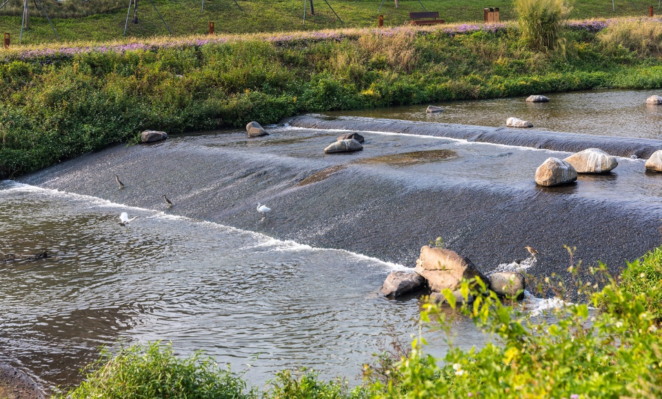 Dasha River Ecological Corridor Shenzhen by AECOM