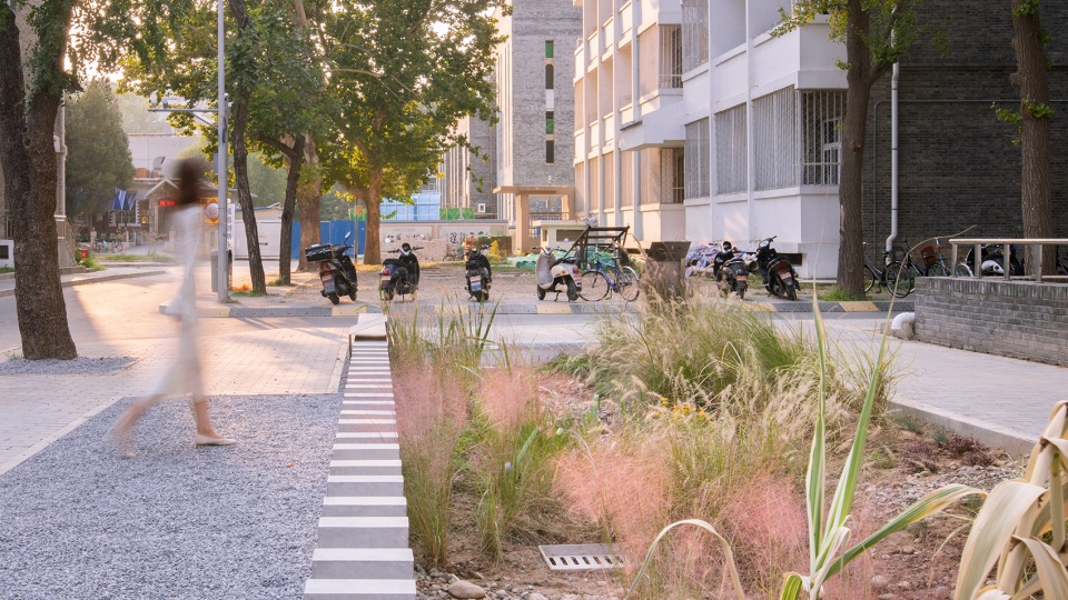 harvesting raingarden oasis in a high density campus china by hao zhang and kangfu zhuo