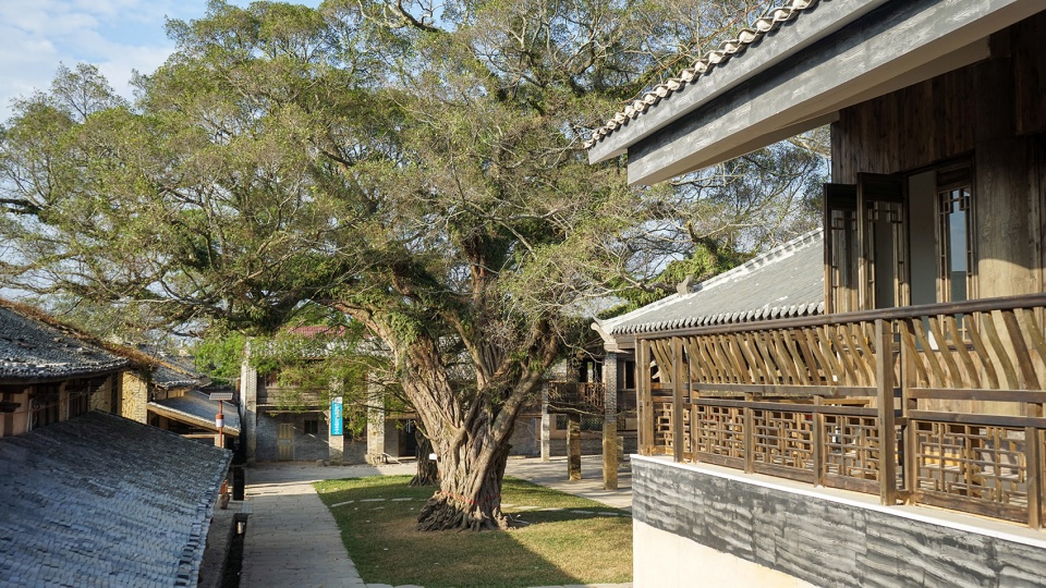traditional village of zhouqian china by shenzhen techand ecology environment