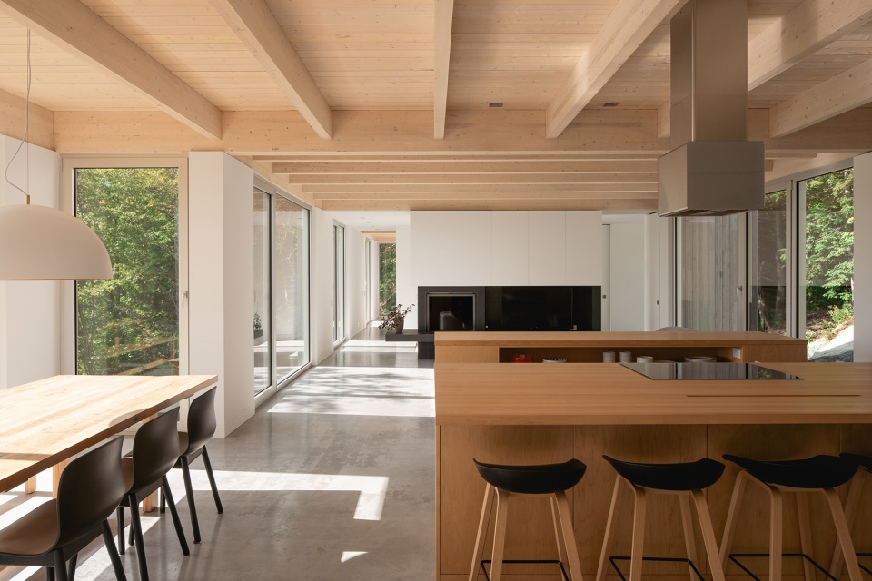 forest house i by natalie dionne architecture