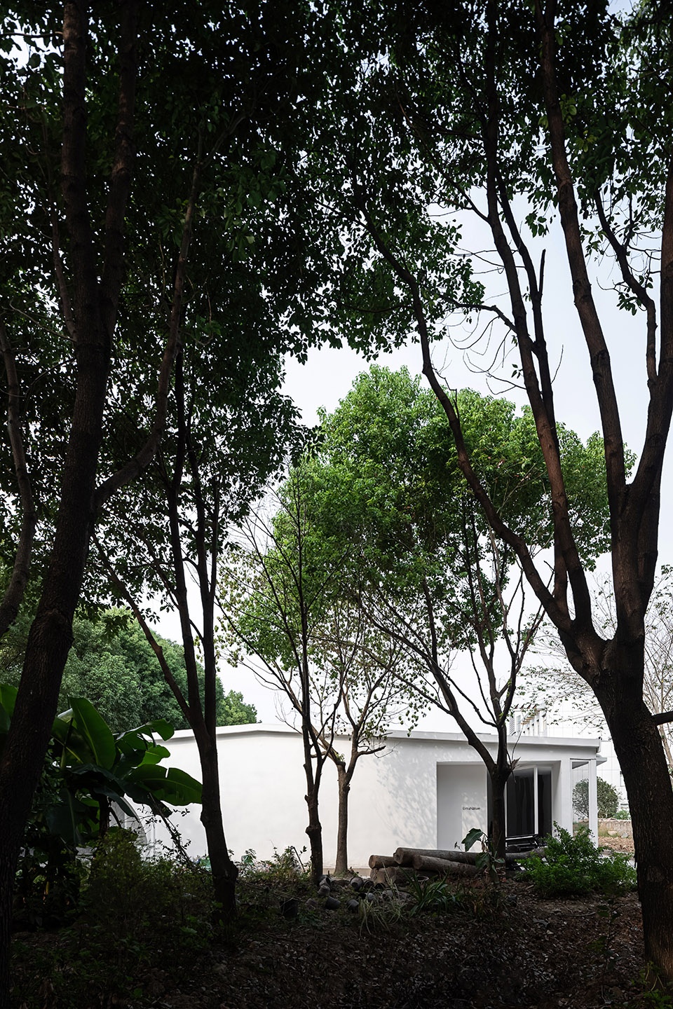 No. 5 Forest JCD.interior design