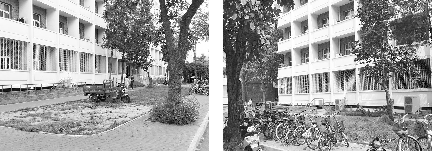 harvesting raingarden oasis in a high density campus china by hao zhang and kangfu zhuo