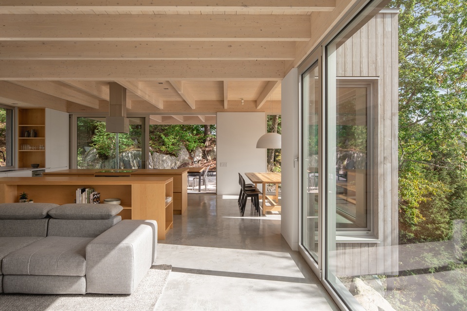 forest house i by natalie dionne architecture