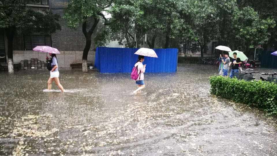 harvesting raingarden oasis in a high density campus china by hao zhang and kangfu zhuo