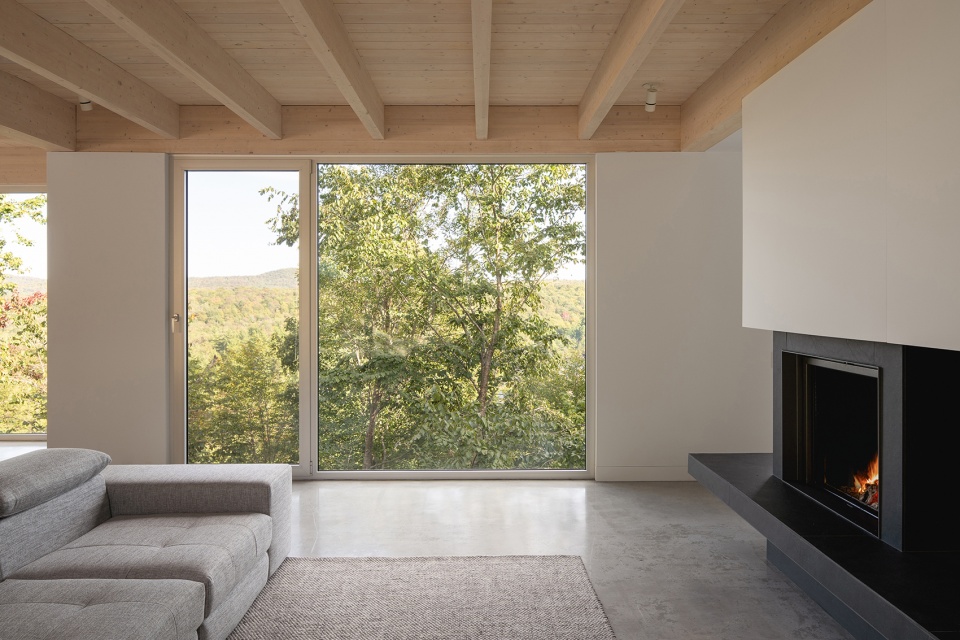 forest house i by natalie dionne architecture