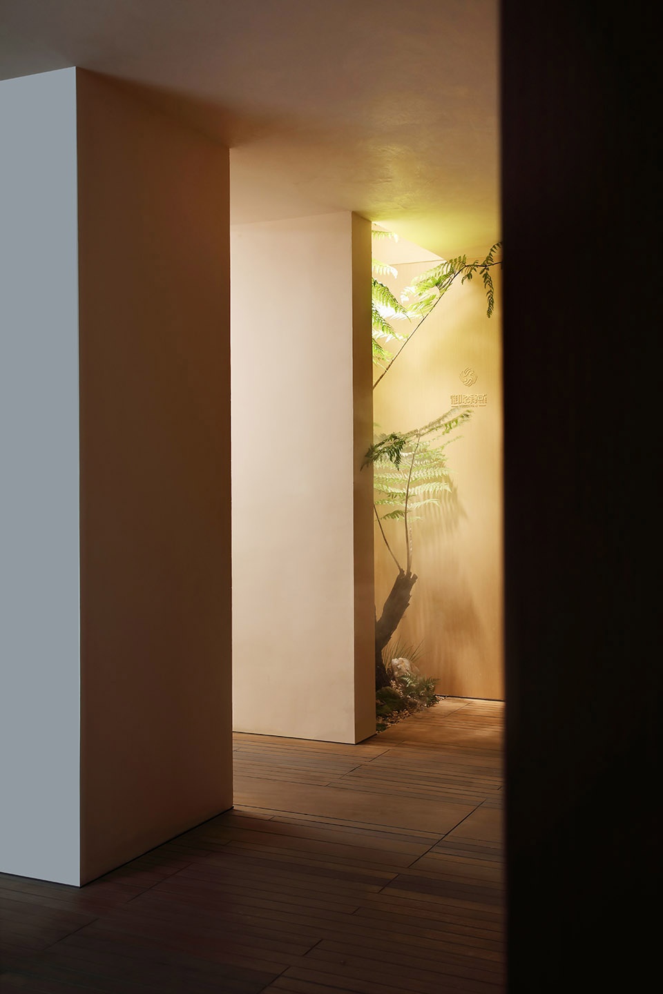 yusenyan flagship store by wusun space