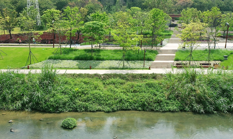 Dasha River Ecological Corridor Shenzhen by AECOM