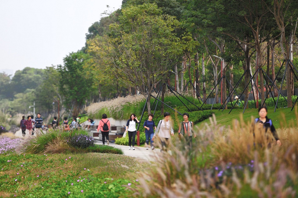 Dasha River Ecological Corridor Shenzhen by AECOM