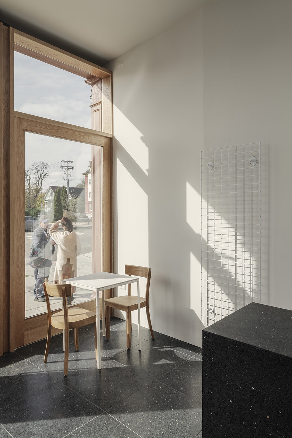 cat cafe in buffalo by davidson rafailidis