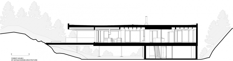 forest house i by natalie dionne architecture