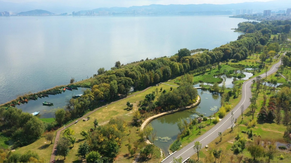 Ecological Restoration Design of Erhai Lake Riparian Buffer Zone Demonstration Section zeho