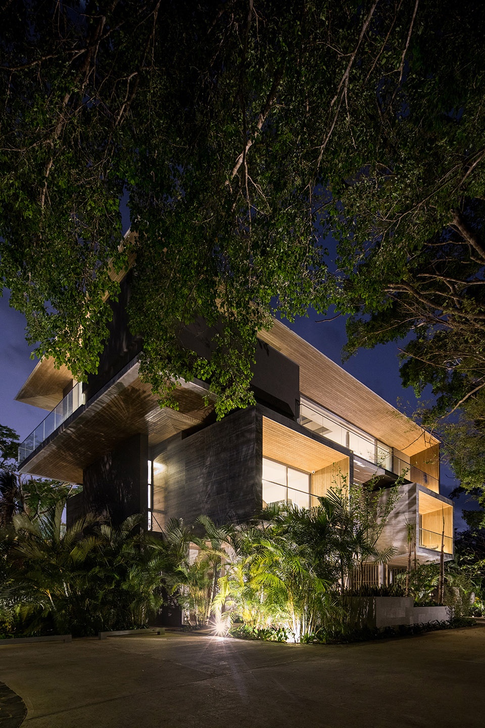 The Atrium House by Studio Saxe