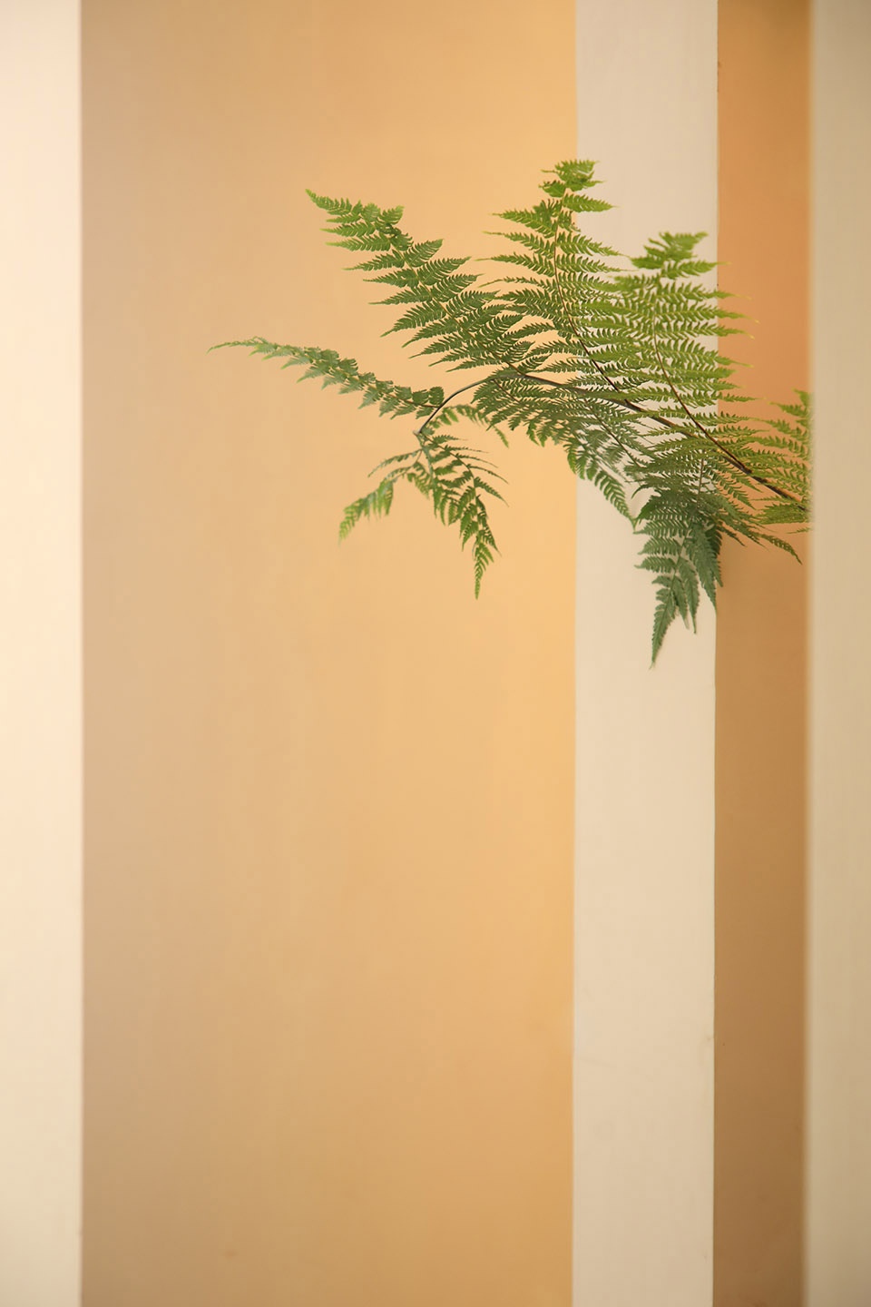 yusenyan flagship store by wusun space