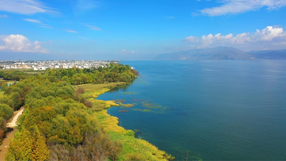 Ecological Restoration Design of Erhai Lake Riparian Buffer Zone Demonstration Section zeho