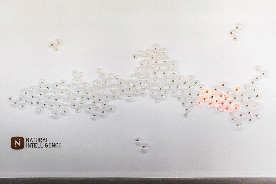 NATURAL INTELLIGENCE Offices by Roy David Architecture