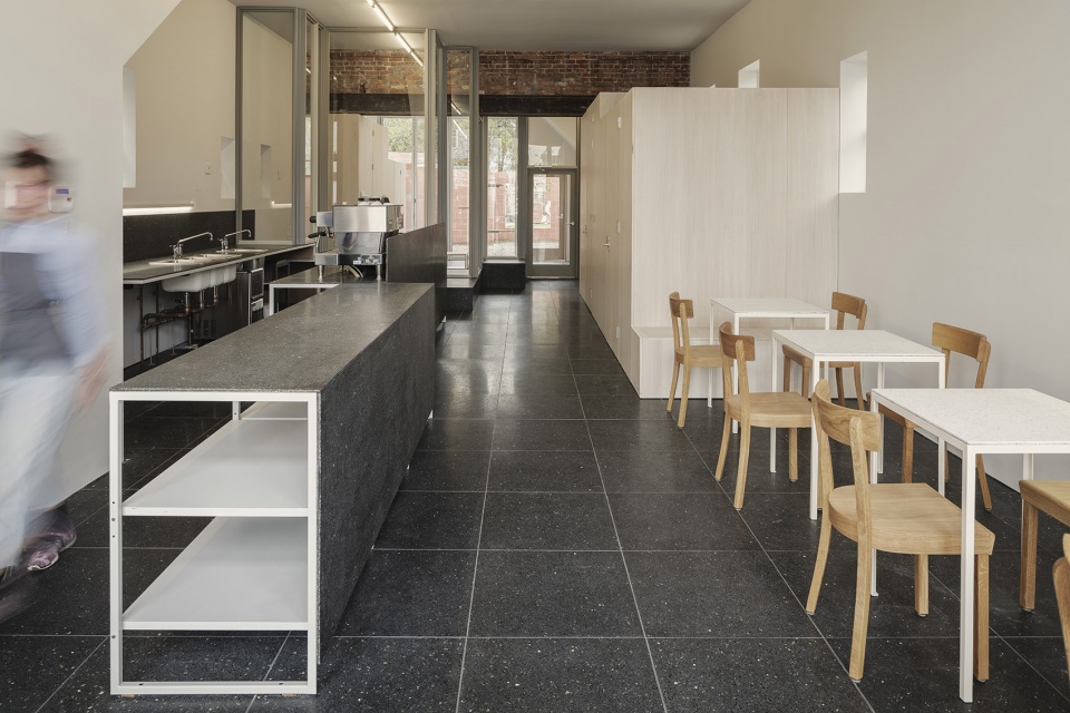 cat cafe in buffalo by davidson rafailidis