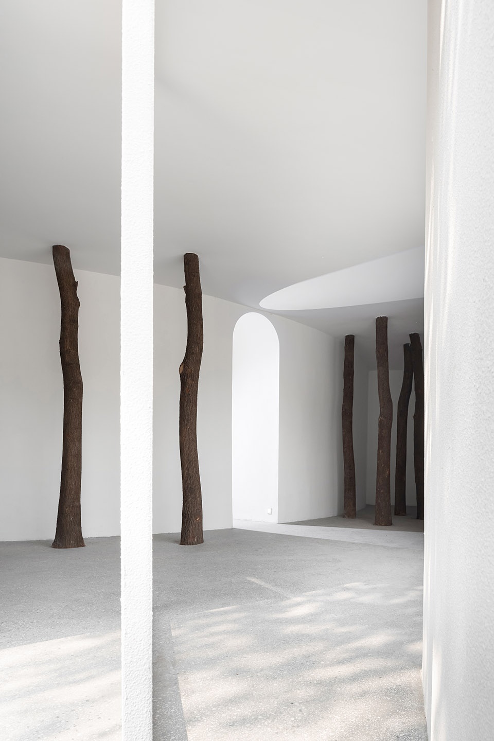 No. 5 Forest JCD.interior design