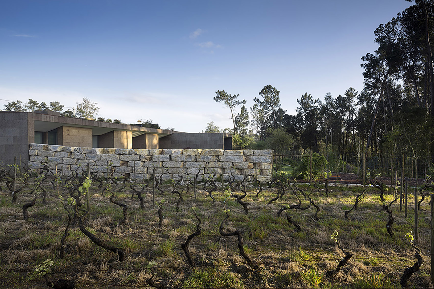 Extension of the earth: Earth-Sheltered Architecture - 谷德设计网