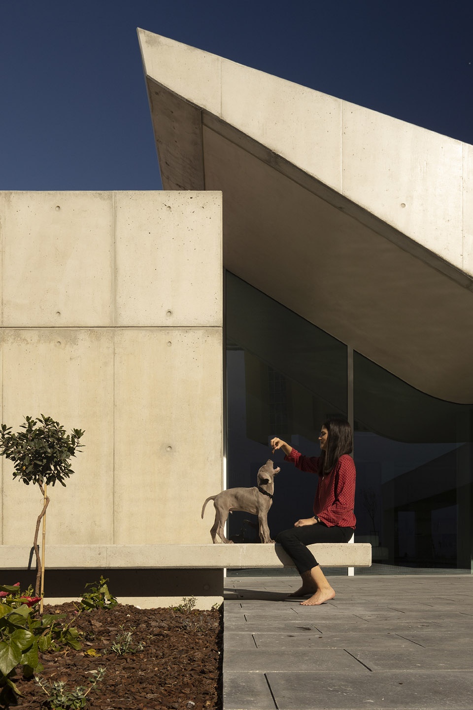 House of the Nuns Mario Martins Atelier