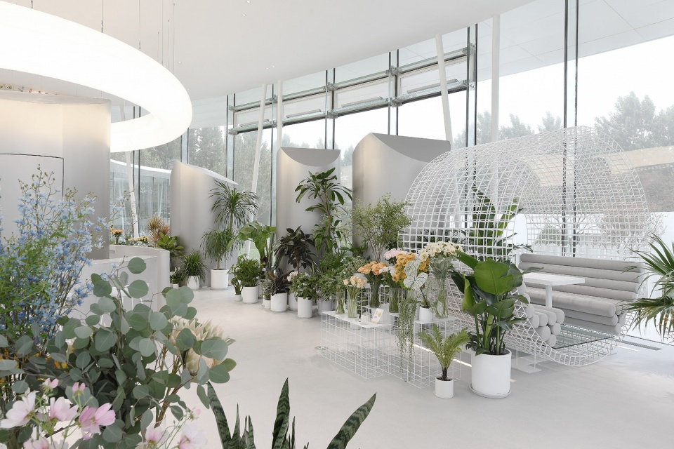 Cloud Flowers Cafe SWS Group