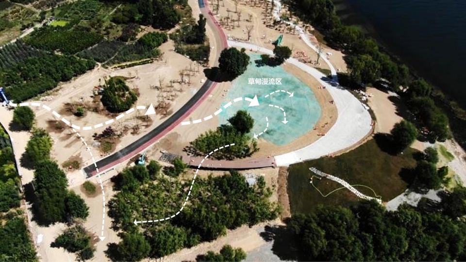 Ecological Restoration Design of Erhai Lake Riparian Buffer Zone Demonstration Section zeho