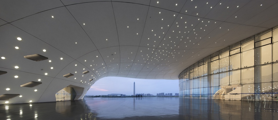 Jiujiang Art and Culture Center Architecture and Engineering Co. Ltd. of southeast University